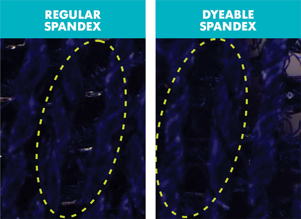 Colorite Application Detail
